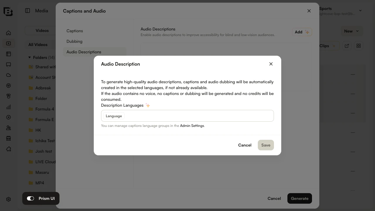 Bulk audio description dialog - options