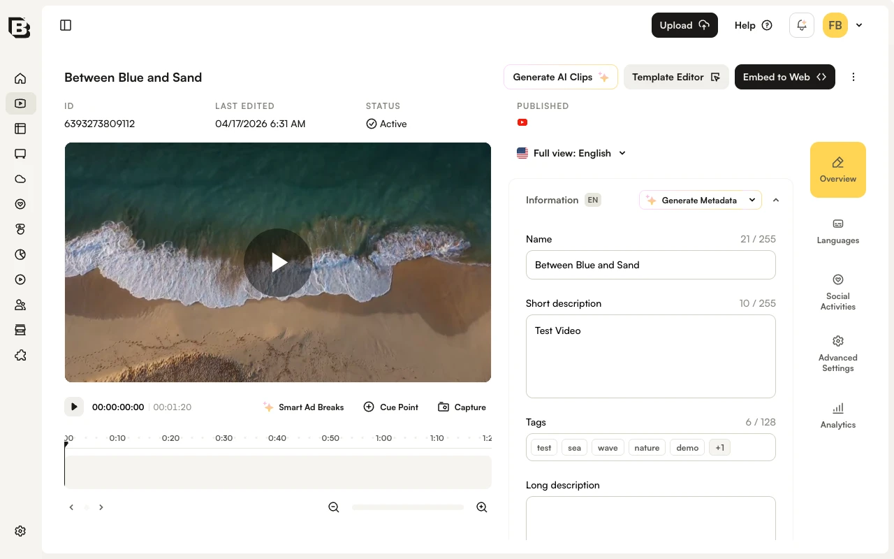 Video details page with title, action buttons, preview player, Information accordion, and right-side navigation