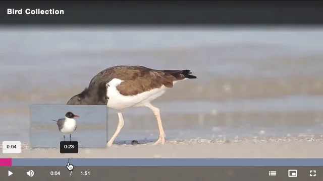 Controls section with Thumbnail Seeking checkbox enabled